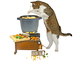 Cat standing over a pot cooking a meal