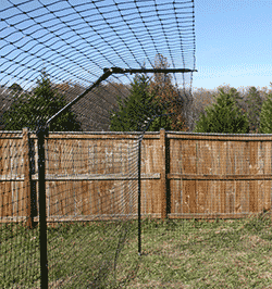 A fence designed to keep cats in