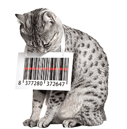 Cat with barcode around neck illustrating cat microchipping